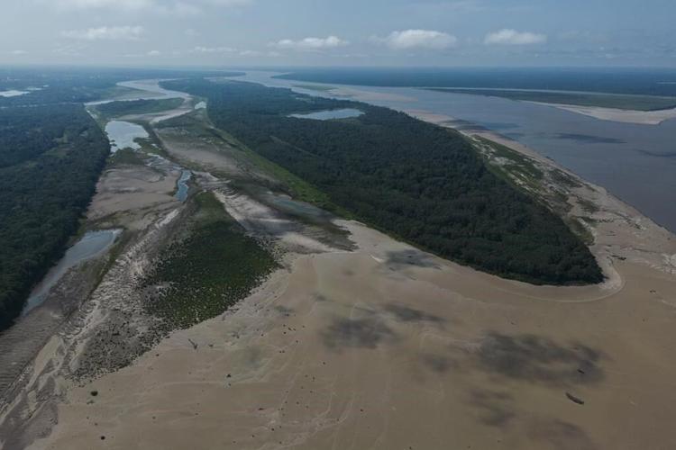 Environmental delegates gather in Colombia for a conference on dwindling global biodiversity