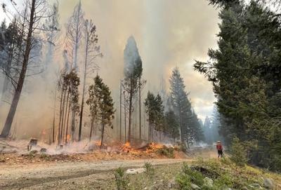 Lutte aux feux de forêt: les travailleurs de l'ombre sont des éléments essentiels