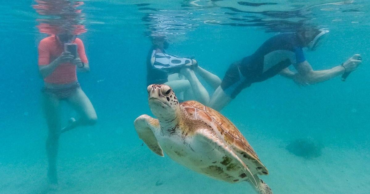 Лучшие фотографии дня от фотожурналистов AP