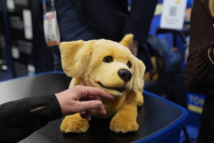 Photos of the latest tech at the CES trade show in Las Vegas