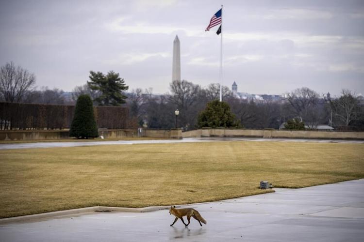 Pentagon: Chinese spy balloon spotted over Western US