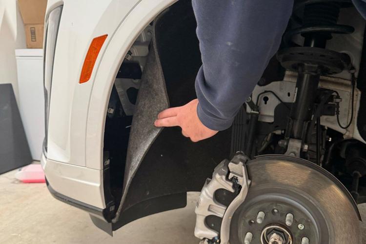 A mysterious meow from her car introduces Baylor coach Nicki Collen to a new family member