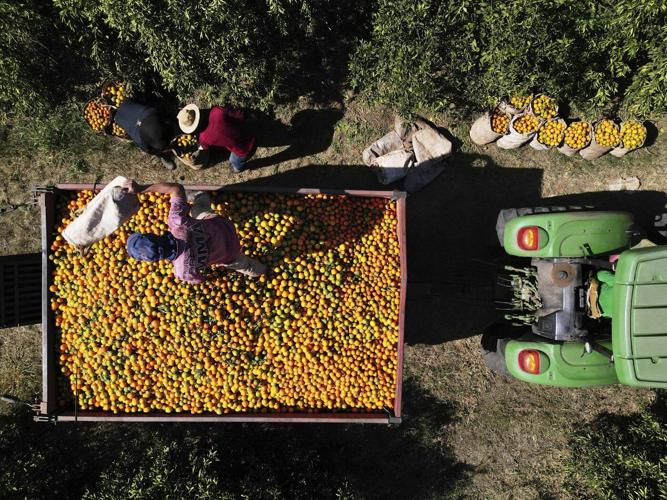 Top photos from Latin America and the Caribbean