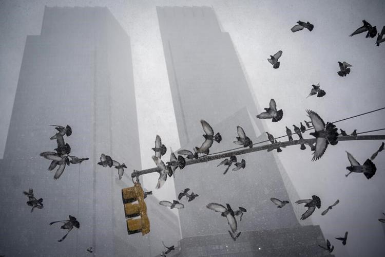 Outside lights are deadly to birds, especially this time of year