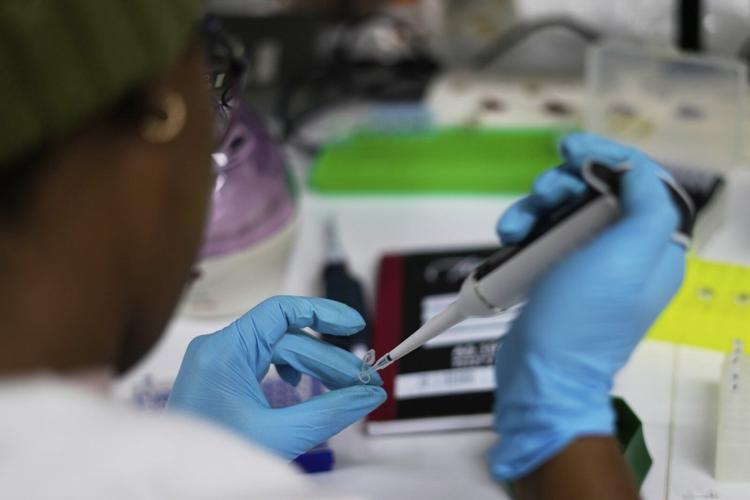 US aid cuts halt HIV vaccine research in South Africa, with global impact
