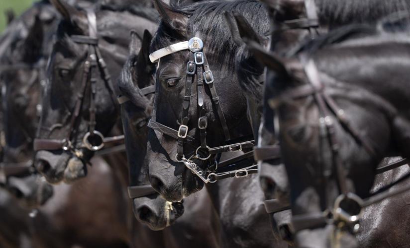 After more than 150 years, the RCMP's Musical Ride is still a living symbol of Canada