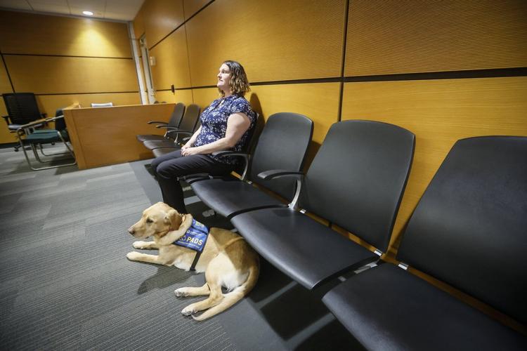 'Furry face to greet them:' How facility dogs help victims navigate the court system