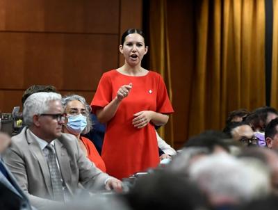 Les députés reprendront la discussion sur le projet de loi sur les armes en janvier