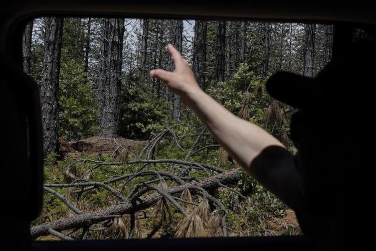 US push to lower wildfire risk across the West stumbles in places