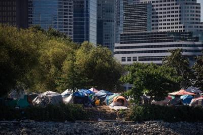Group asks Vancouver for more time over Crab Park homeless site cleanup
