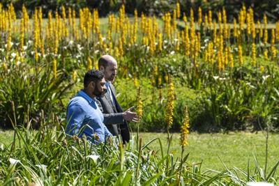 Prince William, in biodegradable sneakers, attends his Earthshot environment awards in South Africa