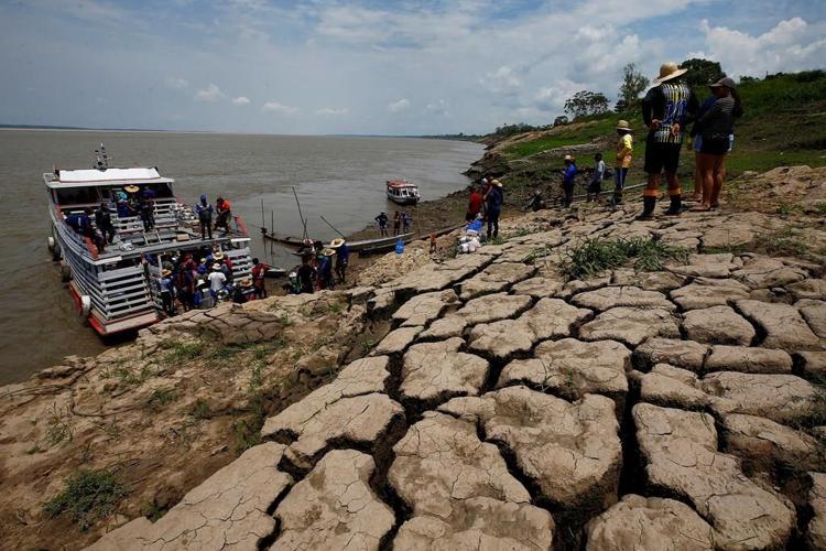 Global warming was primary cause of unprecedented Amazon drought, study finds