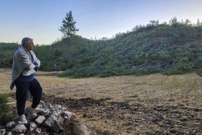Locals vow to keep fighting to save a forest in southwest Turkey after the chainsaws finish work