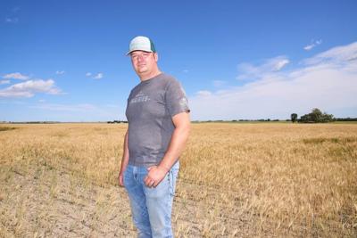 L'irrigation pourrait aider les agriculteurs face aux changements climatiques