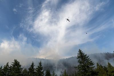 B.C. Forest Practices Board says forestry changes could reduce wildfire risk