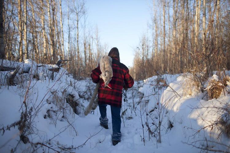 For trappers, the land is their office — wildfires have them bracing for the worst
