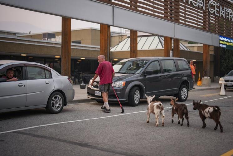 'We don't even have a phone': Aging B.C. wildfire evacuees faced unique challenges