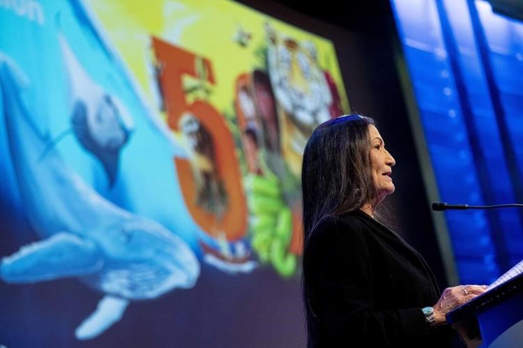 US to focus bison restoration on expanding tribal herds