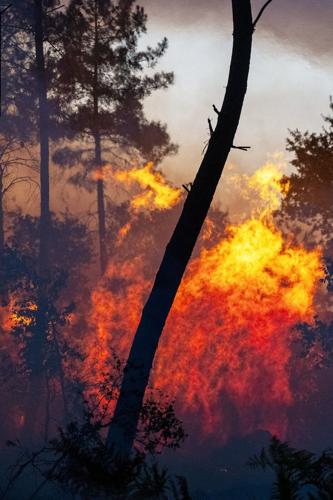 France battles wildfire 4 times the size of Paris as tinderbox heat threatens new surge