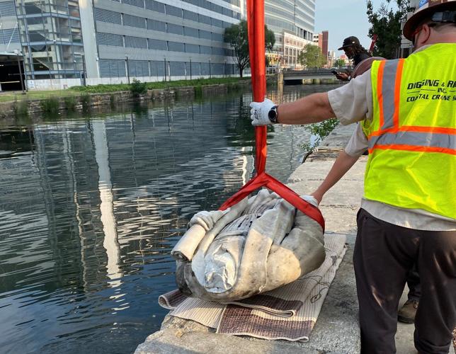 Trump taking steps toward installing a Columbus statue near the White House