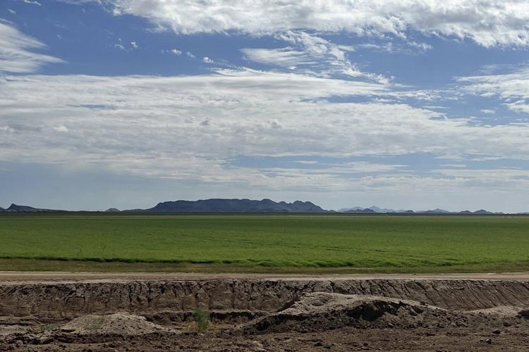 Arizona AG sues Saudi firm over 'excessive' groundwater pumping, saying it's a public nuisance