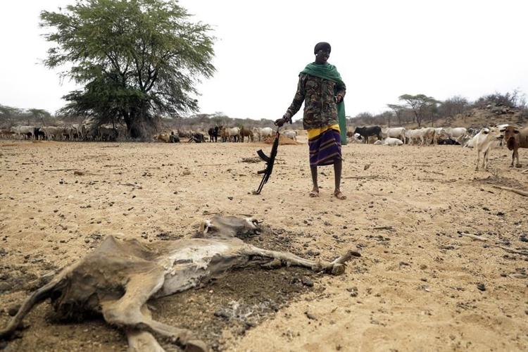 Earth is 'really quite sick now' and in danger zone in nearly all ecological ways, study says