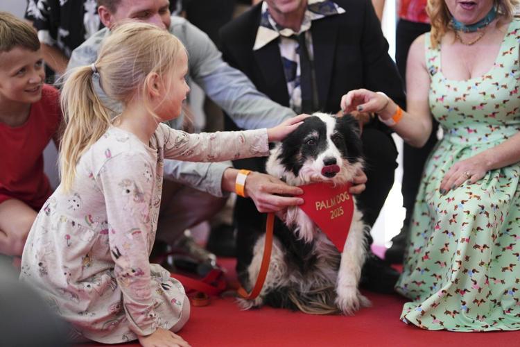 Panda wins the 2025 Palm Dog award at Cannes - and a look-alike accepts