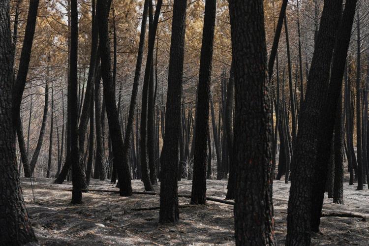 Firefighters in central Spain battle huge wildfire during heat wave