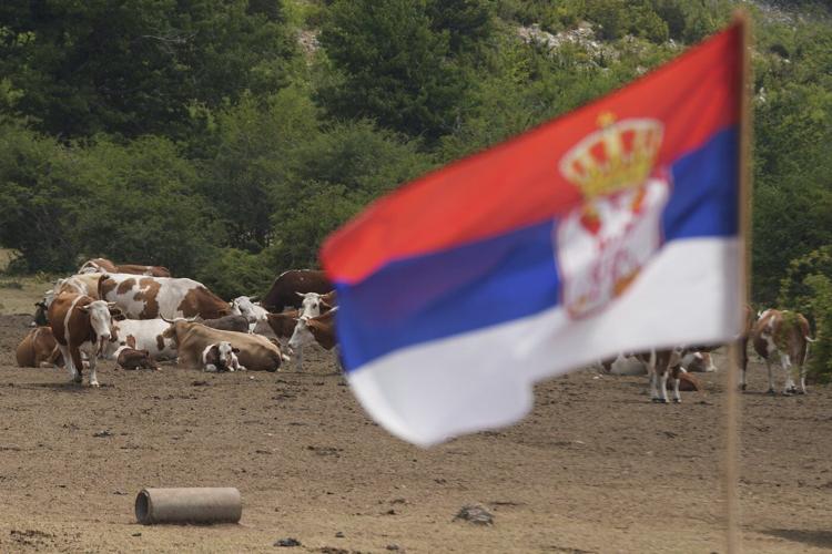 Water tanks replace springs on a Serbian mountain as drought endangers some 1,000 cows and horses