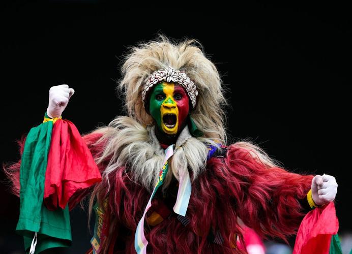 Fans bring life to the Africa Cup of Nations, in photos