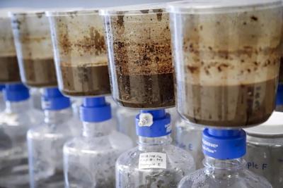 Alberta regulator confirms potential oilsands toxins in small fish-bearing waterbody