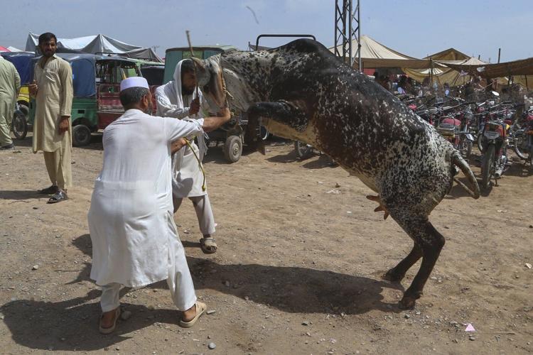 PHOTO COLLECTION: Eid al-Adha