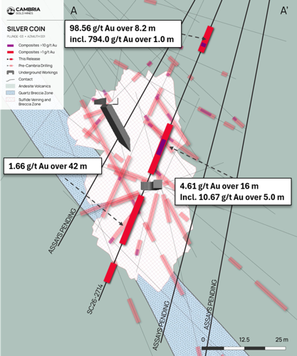 Cambria Gold Mines Intersects 98.56 g/t Gold over 8.2 Metres at the Silver Coin Deposit, Premier Gold Project