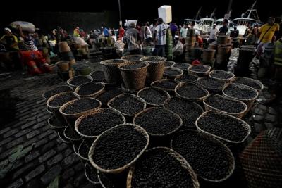 Support grows for sustainable development, a 'bioeconomy,' in the Amazon