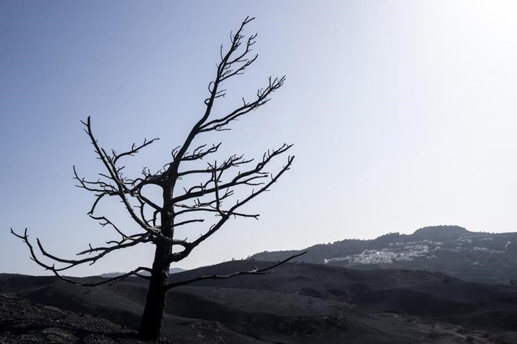 Exclusion zone set up around Greek military base after wildfires trigger powerful explosions