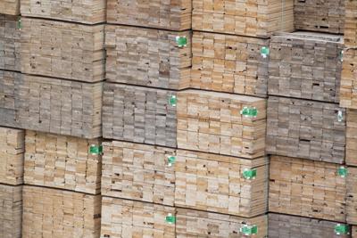U.S. trade policies cast shadow of uncertainty over ϳԹ forestry industry