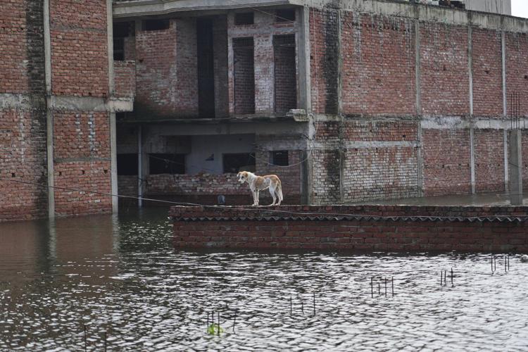 Flash floods kill at least 4 and trap others under debris in northern India