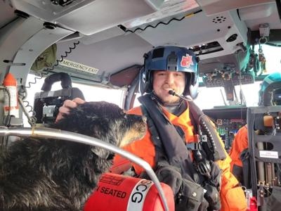 U.S. Coast Guard rescues man, two dogs, from stricken sailboat off Vancouver Island