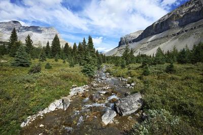 'Reckless': Alberta judge fines B.C. man $6,000 for catching trout in national park