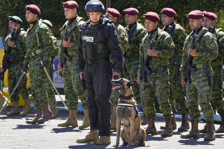 5 dogs with military intelligence unit in violence-plagued Ecuador given medals for service
