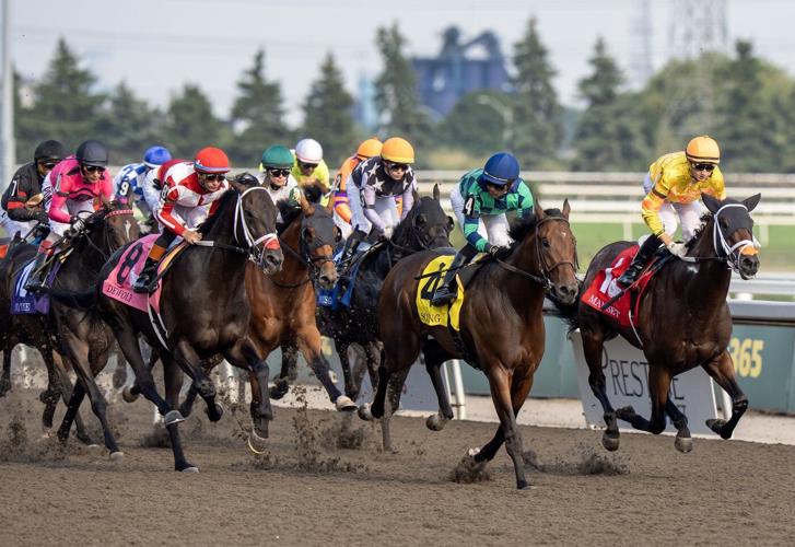 Woodbine Entertainment releases its stakes schedule for 2026 racing season.