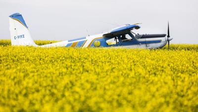 CP NewsAlert: Carney pledges $370M in incentives for canola sector