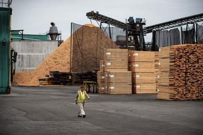 Canada's forestry sector faces uncertainty with 25 per cent U.S. tariffs