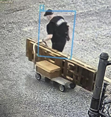 Bloodhounds hunting 'Devil in the Ozarks' fugitive are seen as key part of manhunt