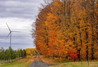 Nova Scotia approves plans for the province's largest onshore wind farm
