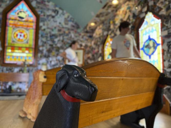 A massive mountain park in Vermont celebrates the bond between dogs and their humans