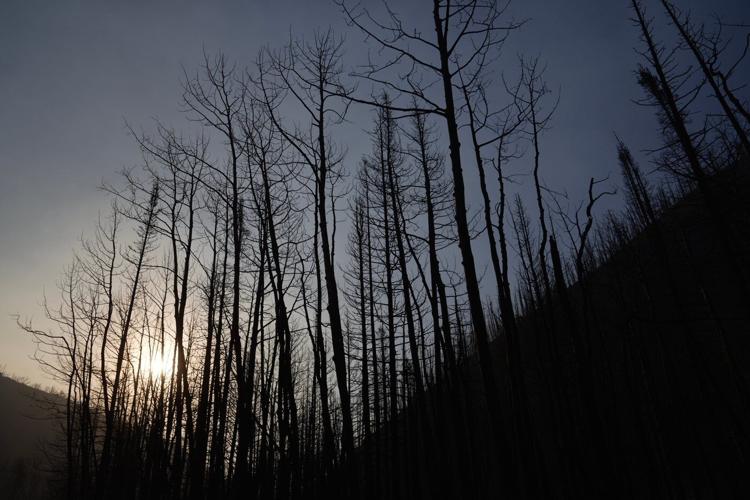 Residents on notice as fast-moving fire in Utah, the largest in the US, blackens more forestland