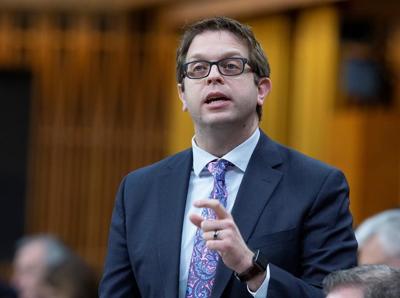 Committee study on abuse in sport will look to expand beyond just hockey, MPs say