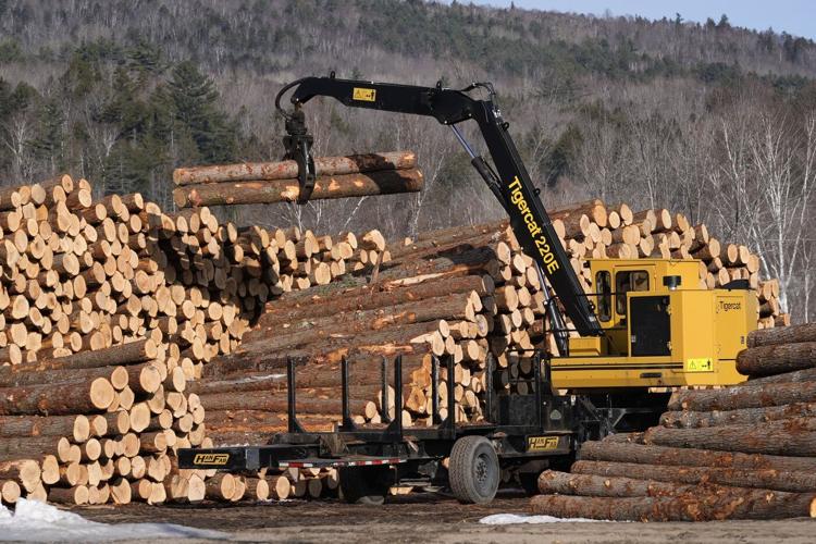 PHOTO COLLECTION: Trump tariffs lumber