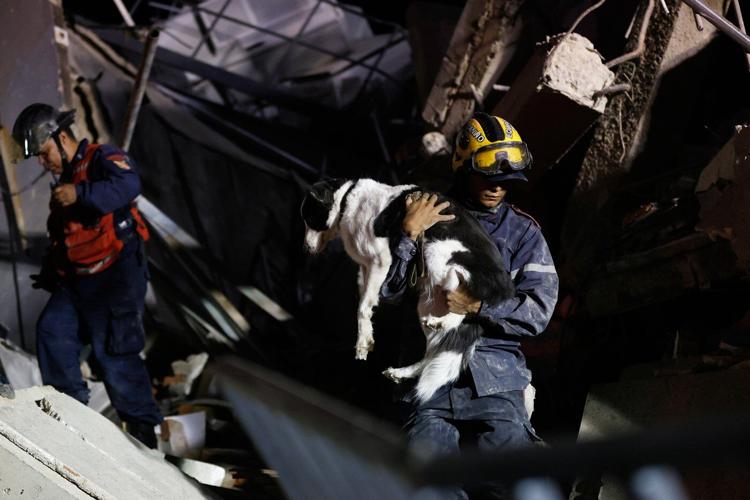 The 2 earthquakes that struck Venezuela are known as a 'doublet.' Here's how they happen